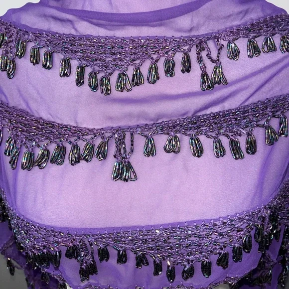 Elegant Purple Sheer Shawl with Beaded Fringe - Picture 3 of 6